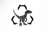 Raptor-Tac