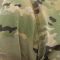 Футболка MultiCam  100% бавовна, Raptor-Tac