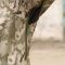 Raptor Tac куртка на флісі Soft Shell Hanter pro, піксель ЗСУ 