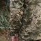 Комплект форми ЗСУ піксель,100% бавовна, Raptor Tac