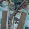 Куртка Штурм SoftShell Multicam Raptor tac