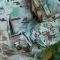Куртка Штурм SoftShell Multicam Raptor tac