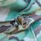 Куртка Штурм SoftShell Multicam Raptor tac