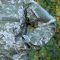 Куртка Штурм SoftShell піксель Raptor tac