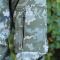 Куртка Штурм SoftShell піксель Raptor tac