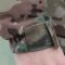 Raptor-Tac, зимовий комплект “ХУРТОВИНА”  Nord Storm" multicam