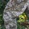 Raptor Tac Штани Soft Shell Pixel Яструб