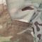 Raptor Tac ШТАНИ ЯСТРУБ ЛАЙТ MULTICAM 6535