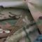 Штани тактичні з наколінниками RAPTOR PRO, Original MultiCam VTX RIPSTOP, тканина від Crye Precision