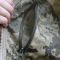 Тактична парка "ГОРКА" Піксель від Raptor Tac
