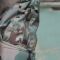 Raptor Tac, комплект зимовий "Alpha Виживання – Nord Storm" multicam