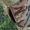 Зимова куртка "Хуртовина" Мультікам, вітро та вологозахисна, Nord Storm, ріп стоп, Raptor Tac
