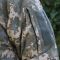 Raptor Tac зимова куртка піксель "Альфа Лайт" вітровологозахисна